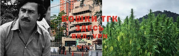 Альфа ПВП Краснослободск