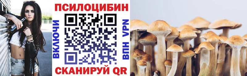 Купить где  Братск  Псилоцибиновые грибы ЛСД 